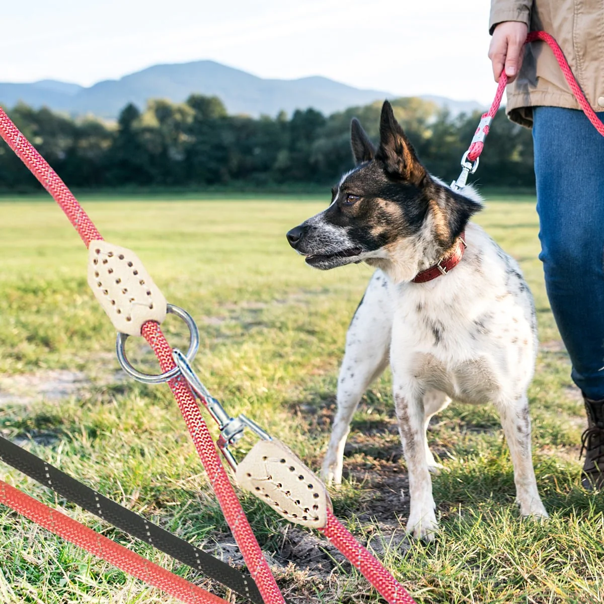 Hundesnor 2 meter m/karabinhage i krom - Rund - ø1 cm -