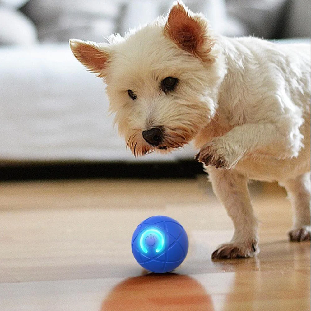 Interaktiv Automatisk Bold til Hunde og Katte - Image 2