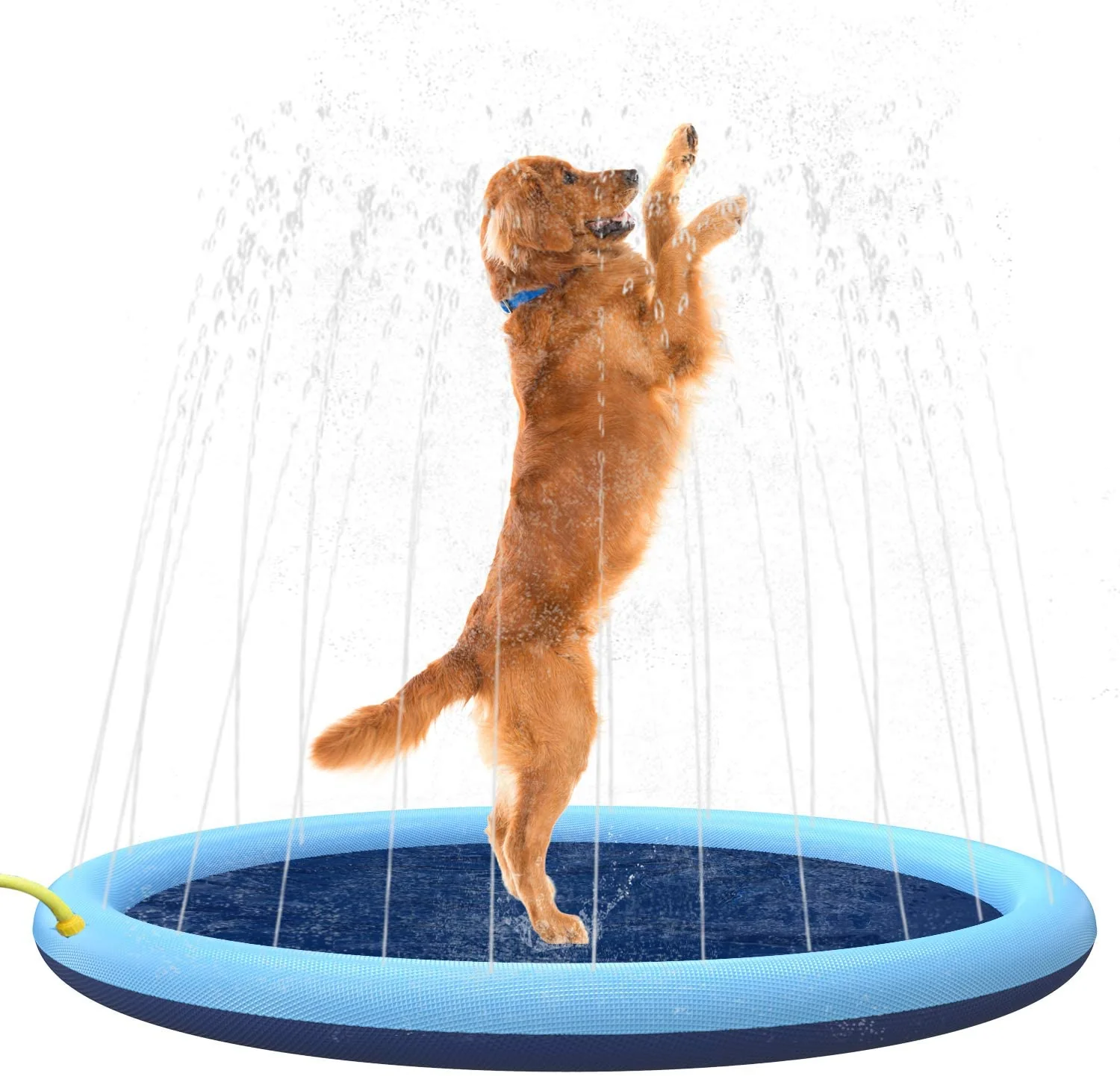 Hundepool med vandsprinkler - Image 8